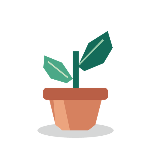 An original green plant in a terracotta pot with a transparent background and a translucent shadow
