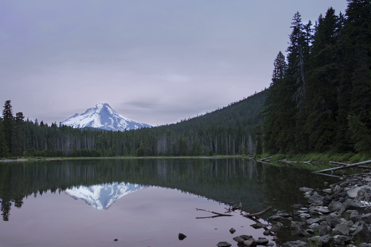 Snow-covered mountains and dark trees reflected in a calm lake
